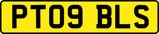 PT09BLS