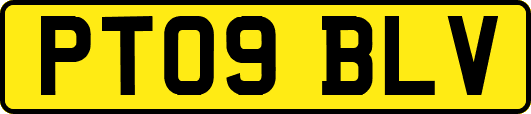 PT09BLV
