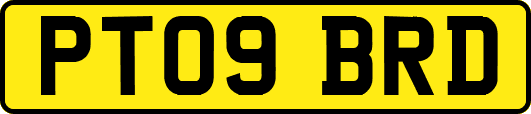 PT09BRD