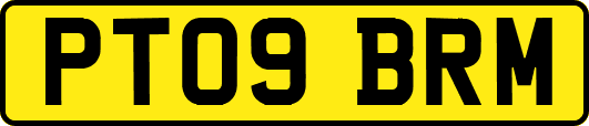 PT09BRM