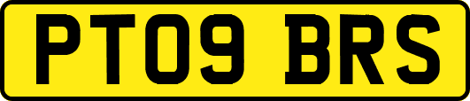 PT09BRS