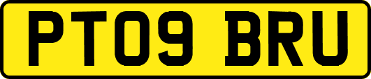 PT09BRU