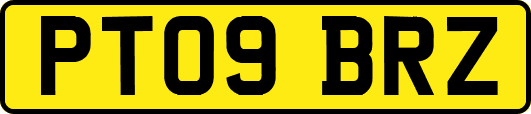 PT09BRZ