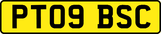 PT09BSC