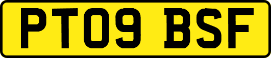 PT09BSF