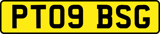 PT09BSG