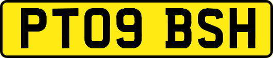 PT09BSH
