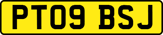 PT09BSJ