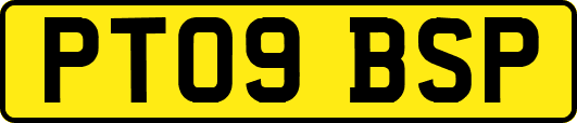PT09BSP