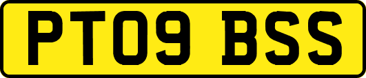 PT09BSS
