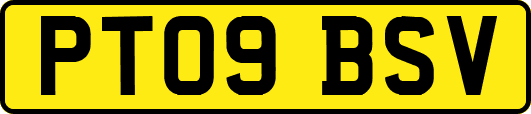 PT09BSV
