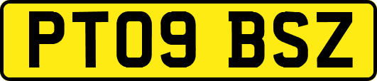 PT09BSZ