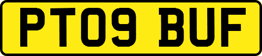 PT09BUF