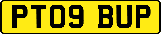 PT09BUP