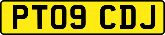 PT09CDJ