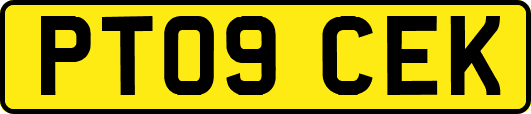 PT09CEK