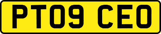 PT09CEO
