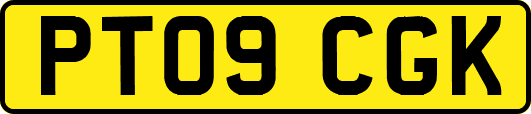 PT09CGK