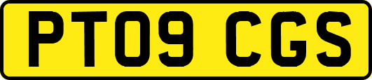 PT09CGS