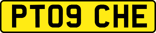 PT09CHE