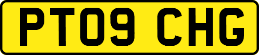 PT09CHG