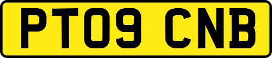 PT09CNB