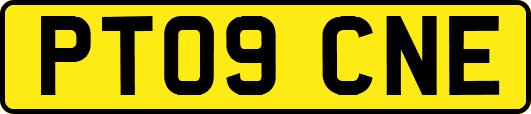 PT09CNE
