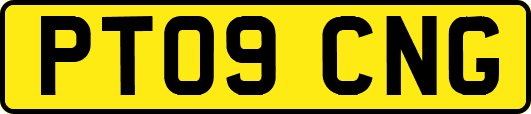 PT09CNG