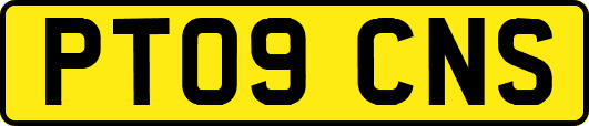 PT09CNS