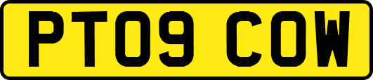 PT09COW