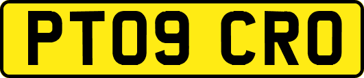 PT09CRO