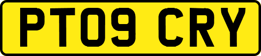 PT09CRY