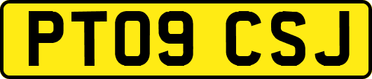 PT09CSJ