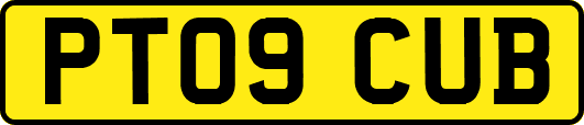 PT09CUB