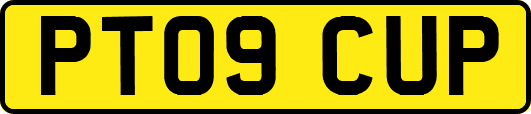 PT09CUP