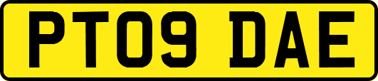 PT09DAE