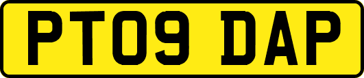 PT09DAP