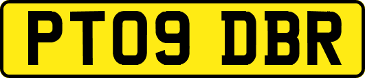 PT09DBR