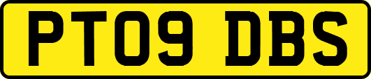 PT09DBS