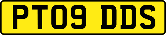 PT09DDS