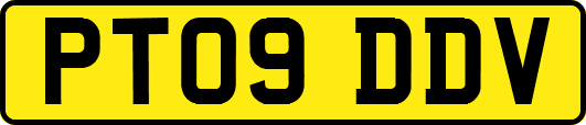 PT09DDV