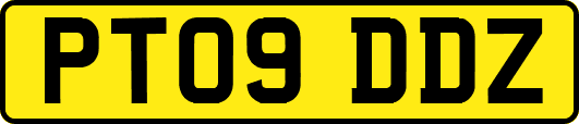 PT09DDZ
