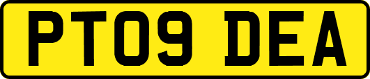 PT09DEA