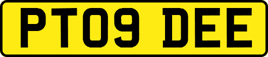 PT09DEE
