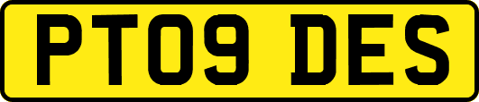 PT09DES