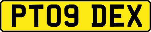 PT09DEX