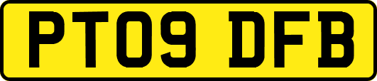PT09DFB
