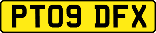 PT09DFX