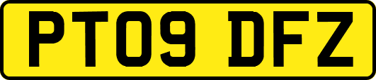 PT09DFZ