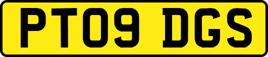 PT09DGS